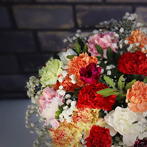 Fresh Spring Flowers for Any Occasion