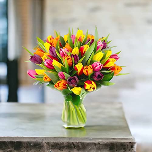 Next Day Tulip Bouquet Delivery