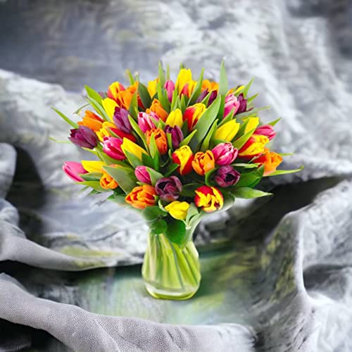 Next Day Tulip Bouquet Delivery