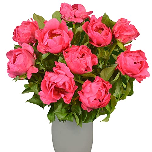 Dark Pink Peony Bouquet - Perfect Gift