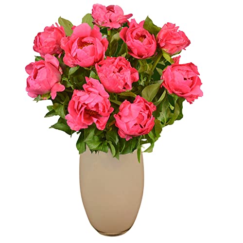 Dark Pink Peony Bouquet - Perfect Gift
