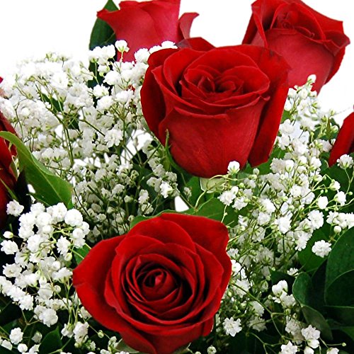 Luxury Red Rose Bouquet for Special Occasions