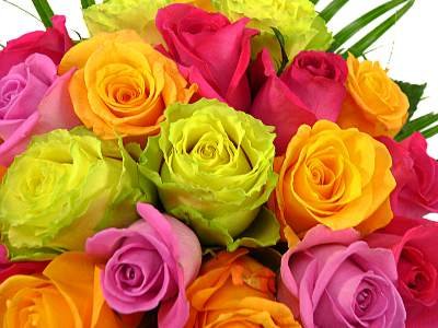 Clare Florist Colourful Rainbow Roses Fresh Flower Bouquet with FREE NEXT DAY UK DELIVERY - Fresh Flowers Perfect for Any Occasion