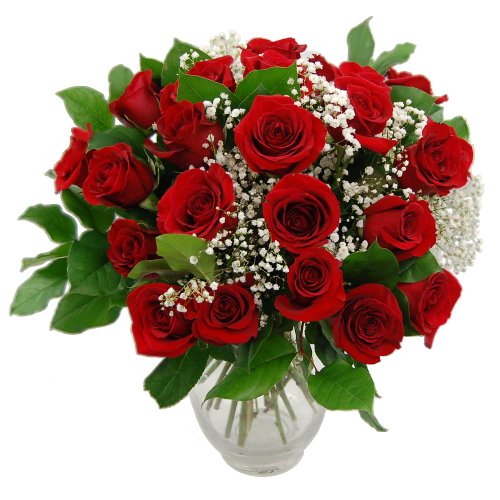 Gorgeous Red Roses for Special Occasions