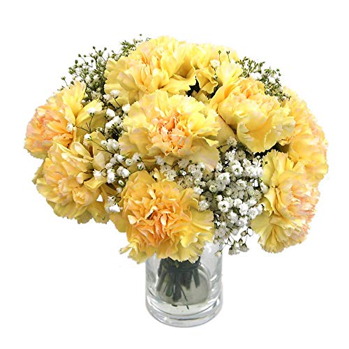 Yellow Carnations Bouquet for Special Occasions
