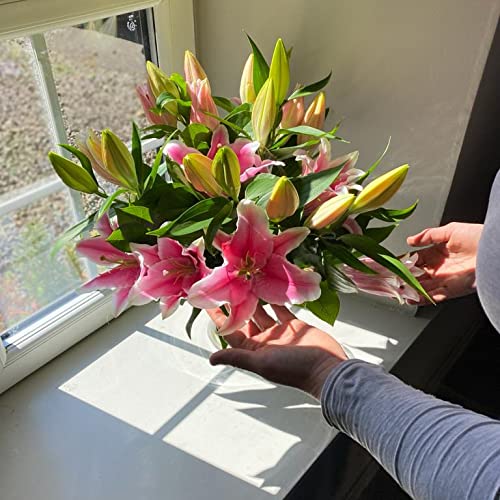 Stunning Fresh Lilies Bouquet - Clare Florist
