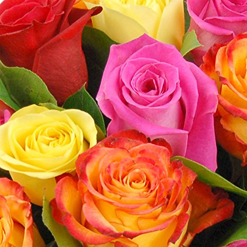 Clare Florist Colourful Rainbow Roses Fresh Flower Bouquet with FREE NEXT DAY UK DELIVERY - Fresh Flowers Perfect for Any Occasion