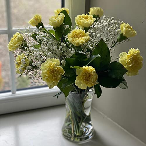 Yellow Carnations Bouquet for Special Occasions