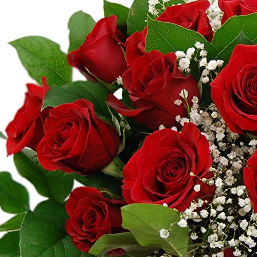 Gorgeous Red Roses for Special Occasions