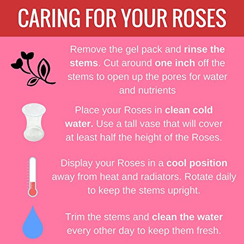 Luxury Red Rose Bouquet for Special Occasions