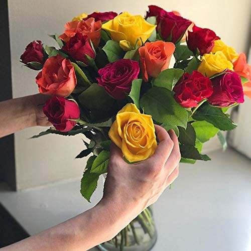Clare Florist Colourful Rainbow Roses Fresh Flower Bouquet with FREE NEXT DAY UK DELIVERY - Fresh Flowers Perfect for Any Occasion