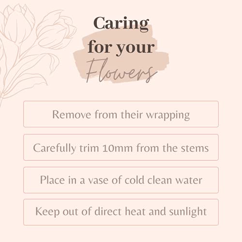 Yellow Carnations Bouquet for Special Occasions