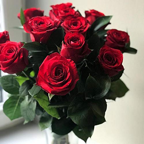 Clare Florist 12 Red Roses True Romance Fresh Flower Bouquet - Romantic Fresh Roses Hand Arranged by Expert Florists
