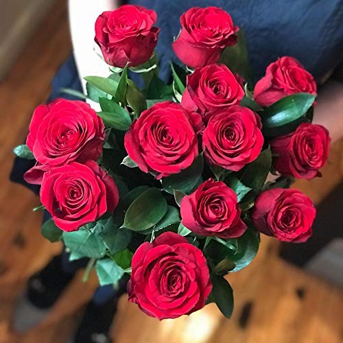 Clare Florist 12 Red Roses True Romance Fresh Flower Bouquet - Romantic Fresh Roses Hand Arranged by Expert Florists