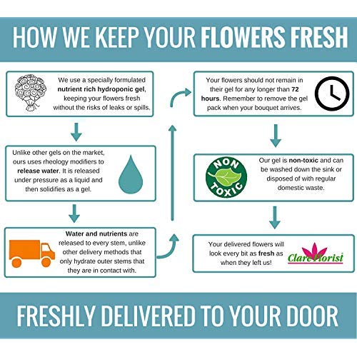 Clare Florist 12 Red Roses True Romance Fresh Flower Bouquet - Romantic Fresh Roses Hand Arranged by Expert Florists