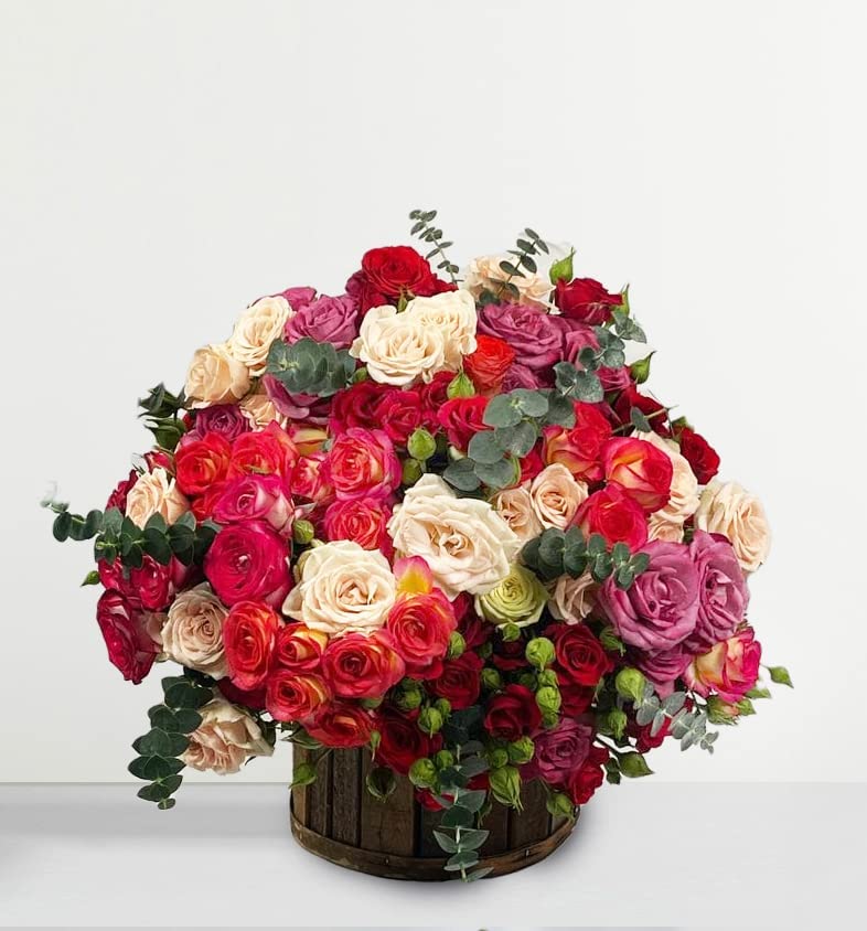 Mixed Roses -Fresh Flower Delivered Next Working Day Free Uk Delivery-Perfect For Birthday-Thank You-Congratulations-Get Well Soon-Best Gift-Beautiful Fresh Bouquet-Anniversary… (8943223089)