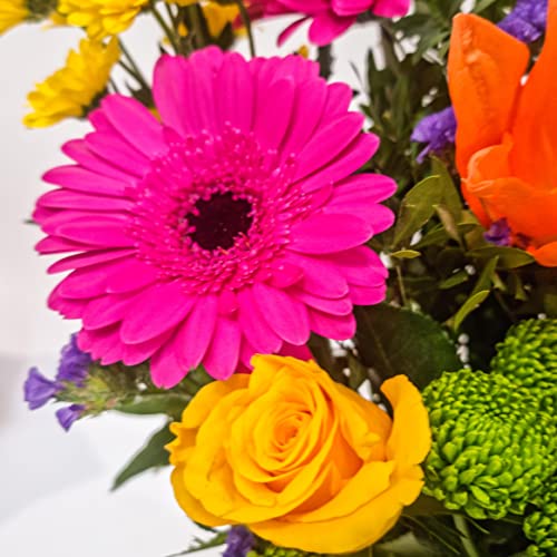 Vibrant Value Hand Tied Flower Bouquet Stunning Fresh Flowers Just for Mom Delivered Next Day Prime Delivery Perfect for Mothers Day Fresh Cut Flower Gift Bouquet