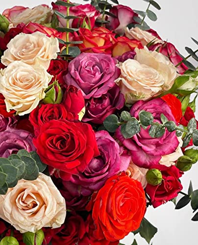 Mixed Roses -Fresh Flower Delivered Next Working Day Free Uk Delivery-Perfect For Birthday-Thank You-Congratulations-Get Well Soon-Best Gift-Beautiful Fresh Bouquet-Anniversary… (8943223089)