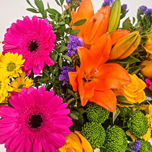 Vibrant Value Hand Tied Flower Bouquet Stunning Fresh Flowers Just for Mom Delivered Next Day Prime Delivery Perfect for Mothers Day Fresh Cut Flower Gift Bouquet