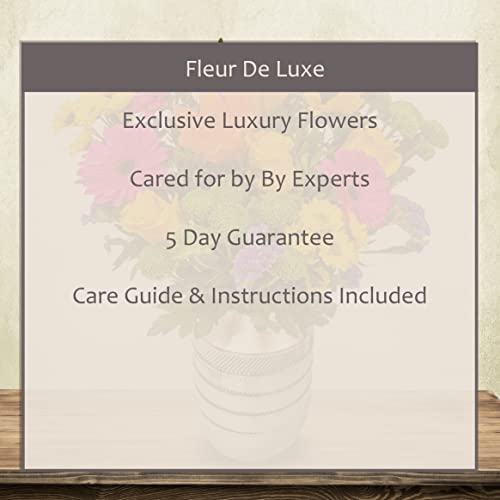 Vibrant Value Hand Tied Flower Bouquet Stunning Fresh Flowers Just for Mom Delivered Next Day Prime Delivery Perfect for Mothers Day Fresh Cut Flower Gift Bouquet