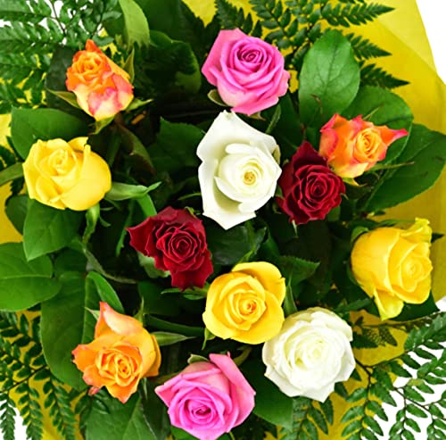 Cheerful Beauty Morning Flowers Fresh Flowers Delivered -Next Day Free UK Delivery