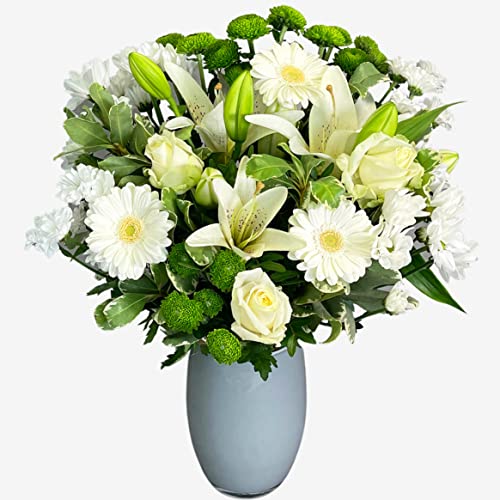 White Simplicity Hand Tied Bouquet Fresh Flowers, Fresh Flowers Delivered Next Day Prime Delivery, Flowers Fresh Bouquet, Perfect for Birthdays, Anniversaries and Thank You Gifts