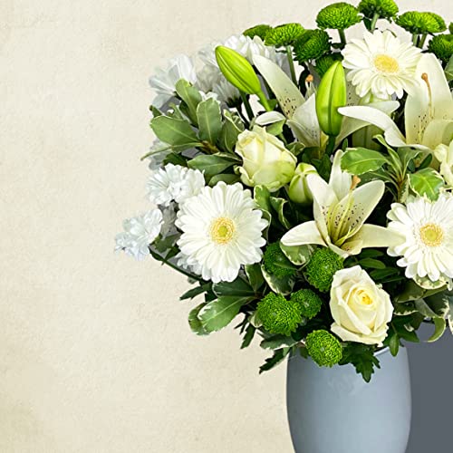 White Simplicity Hand Tied Bouquet Fresh Flowers, Fresh Flowers Delivered Next Day Prime Delivery, Flowers Fresh Bouquet, Perfect for Birthdays, Anniversaries and Thank You Gifts