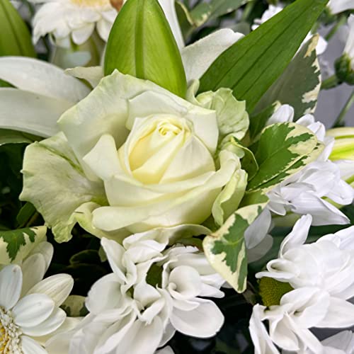 White Simplicity Hand Tied Bouquet Fresh Flowers, Fresh Flowers Delivered Next Day Prime Delivery, Flowers Fresh Bouquet, Perfect for Birthdays, Anniversaries and Thank You Gifts