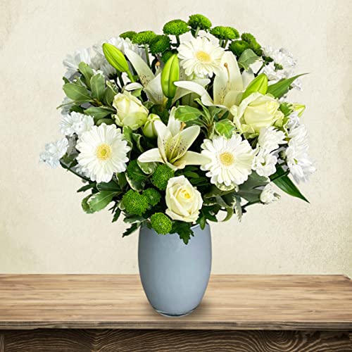 White Simplicity Hand Tied Bouquet Fresh Flowers, Fresh Flowers Delivered Next Day Prime Delivery, Flowers Fresh Bouquet, Perfect for Birthdays, Anniversaries and Thank You Gifts