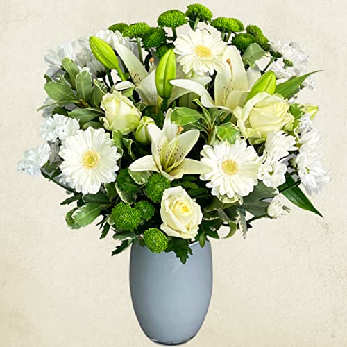 White Simplicity Hand Tied Bouquet Fresh Flowers, Fresh Flowers Delivered Next Day Prime Delivery, Flowers Fresh Bouquet, Perfect for Birthdays, Anniversaries and Thank You Gifts