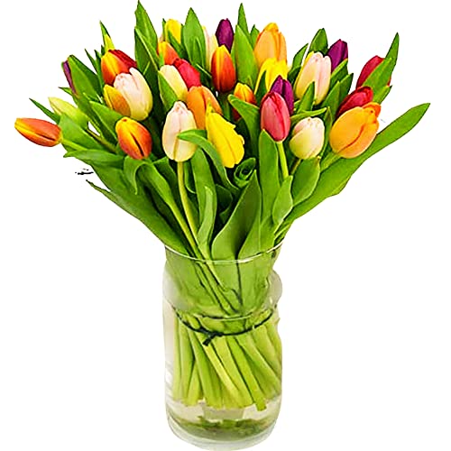 Mother's Day Tulip Bouquet Hand-Tied, Fresh & Beautiful