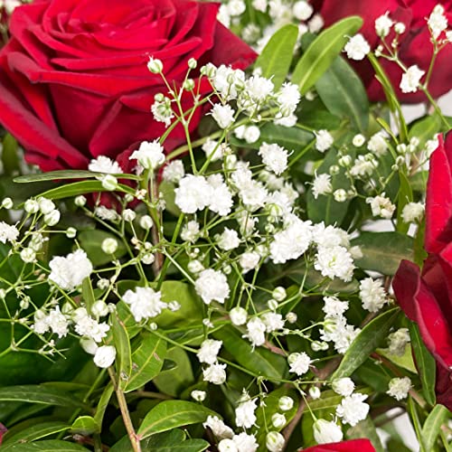 50 Red Roses Bouquet - Romantic Gift for Occasions