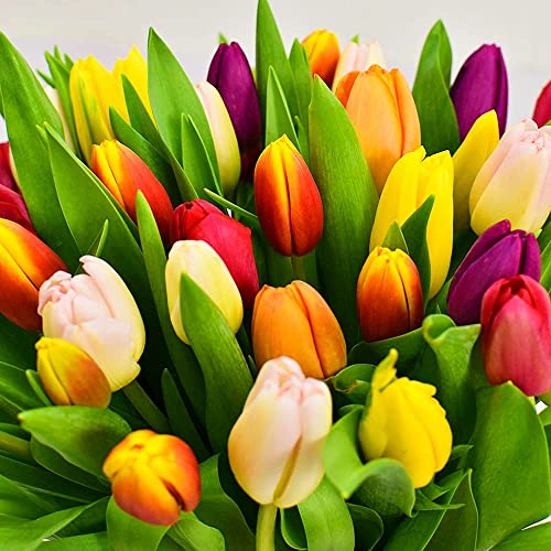 Mother's Day Tulip Bouquet, Perfect Gift