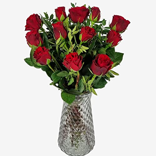 12 Red Roses for Romantic Occasions