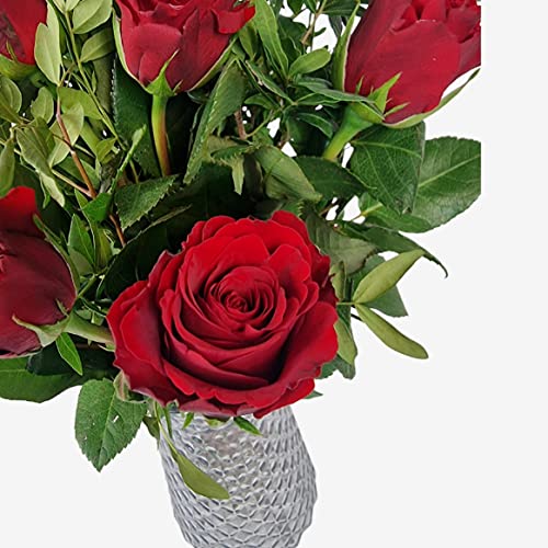 12 Red Roses for Romantic Occasions