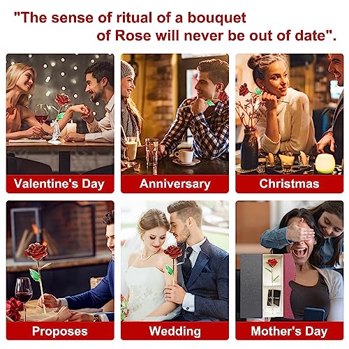 24K Gold Dipped Rose with Stand - Romantic Gift