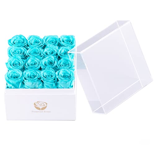 Yamonic Eternal Roses in Tiffany Box - Surprise Her