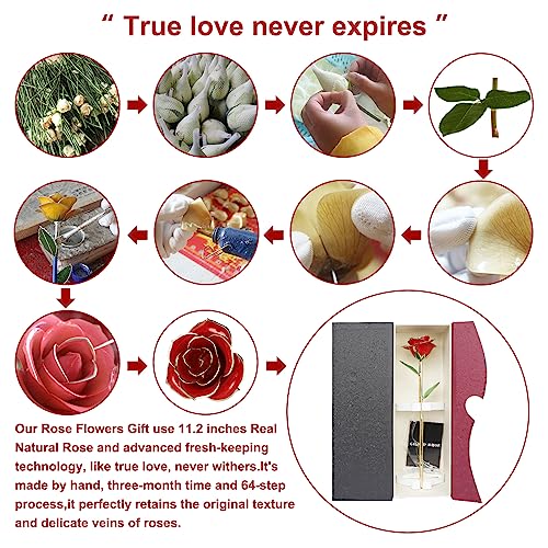 24K Gold Dipped Rose with Stand - Romantic Gift