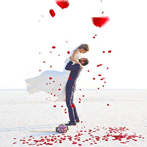 Red Silk Rose Petals for Weddings & Events