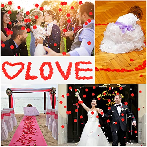 VEYLIN Red Artificial Rose Petals, 500PCS for Decorations