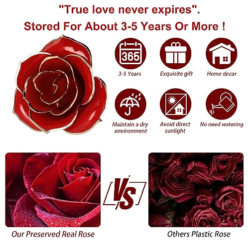 24K Gold Dipped Rose with Stand - Romantic Gift
