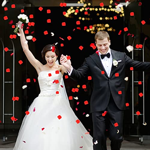 VEYLIN Red Artificial Rose Petals, 500PCS for Decorations