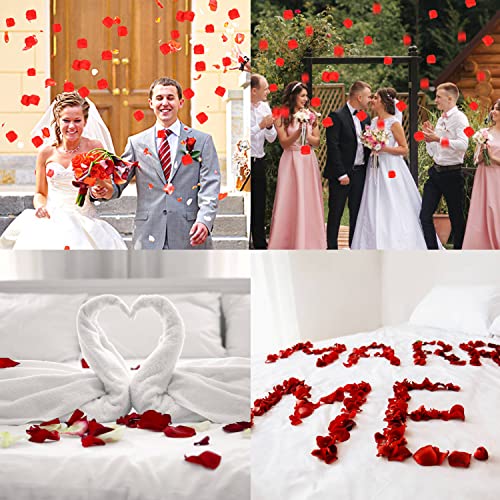 VEYLIN Red Artificial Rose Petals, 500PCS for Decorations