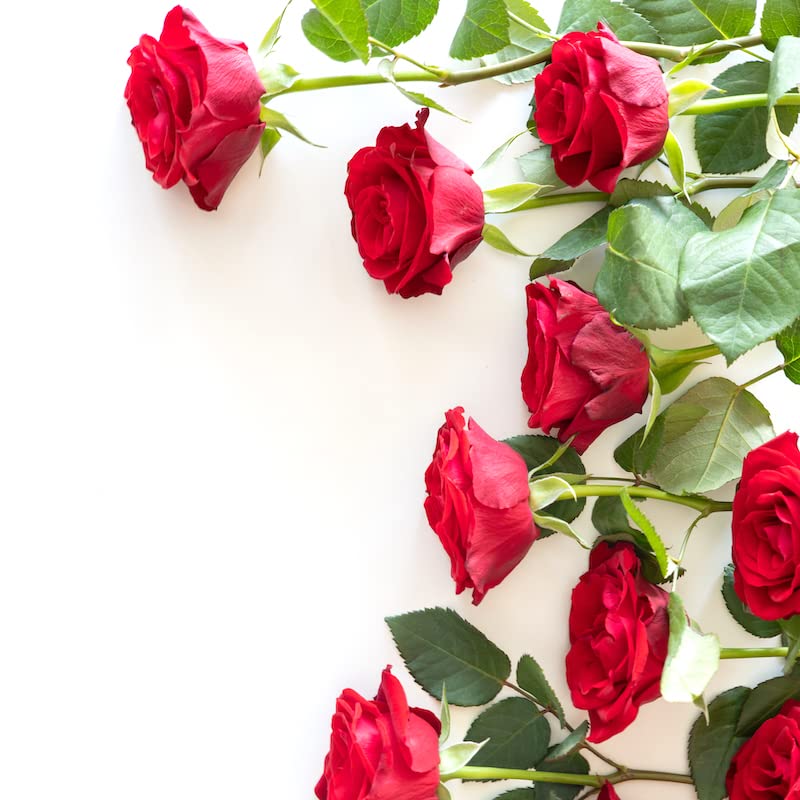 Red Rose Letterbox Bouquet - Perfect for Special Occasions