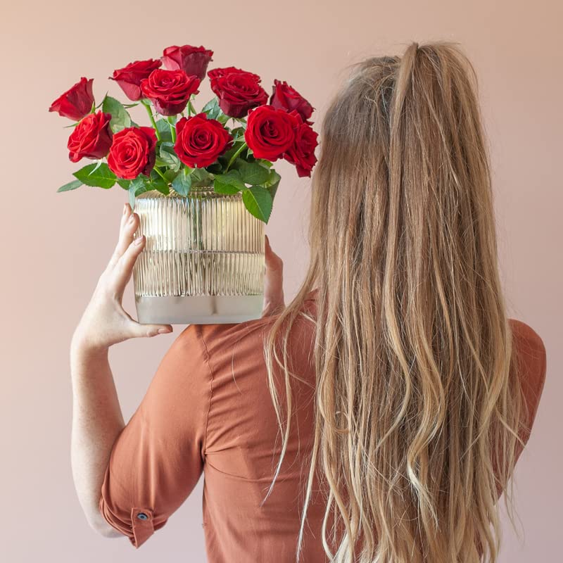 Red Rose Letterbox Bouquet - Perfect for Special Occasions