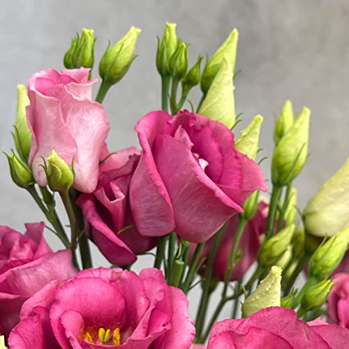 Luxury Lady Penelope Flower Bouquet with Vase