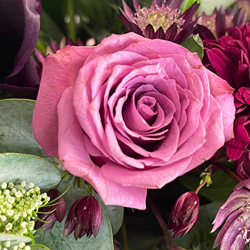 Luxury Lady Penelope Flower Bouquet with Vase