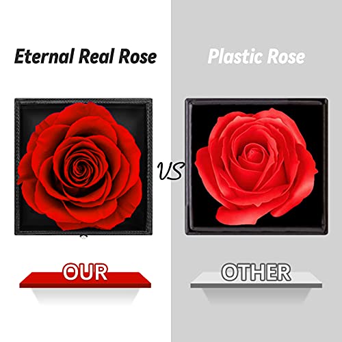 I Love You" Eternal Rose Gift Box