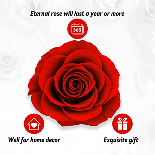I Love You" Eternal Rose Gift Box