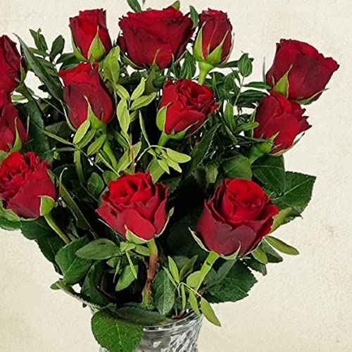 Romantic 12 Letterbox Red Roses Bouquet